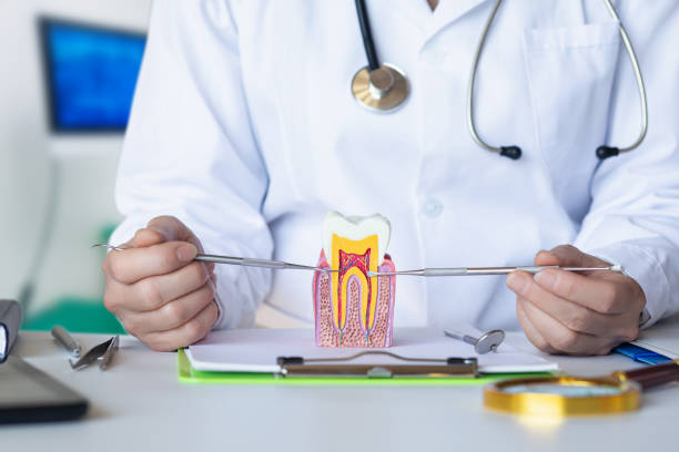 Best Emergency Tooth Extraction in Fairview Park, OH